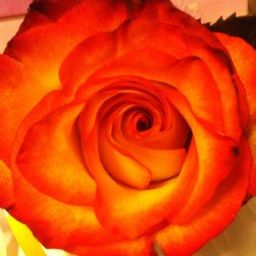 It’s all about love