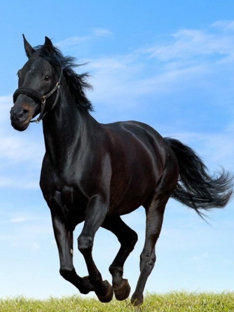 52287628-E6C1-47EE-82F3-CC345A6FB344