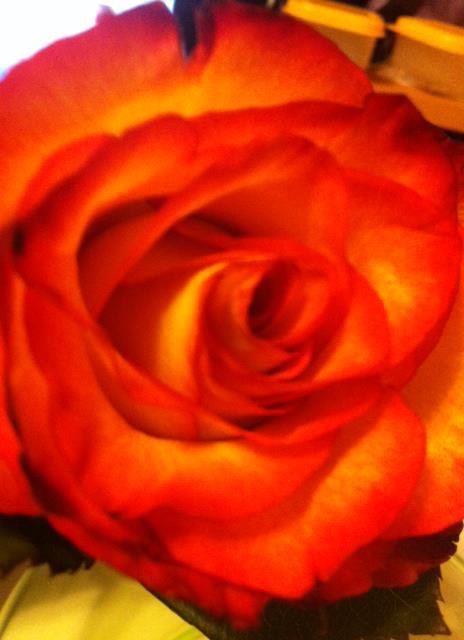 E100610B-7264-4DD1-880E-1B4B2950DEF8